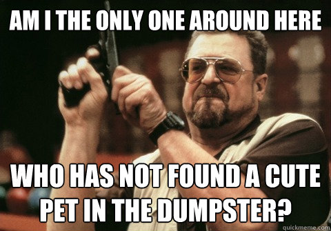 Am I the only one around here Who has not found a cute pet in the dumpster? - Am I the only one around here Who has not found a cute pet in the dumpster?  Am I the only one