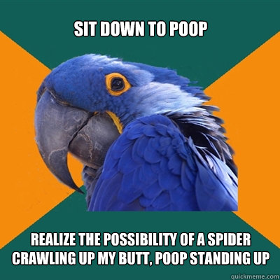 Sit down to poop realize the possibility of a spider crawling up my butt, poop standing up  Paranoid Parrot