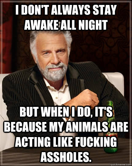 I don't always stay awake all night  but when I do, it's because my animals are acting like fucking assholes.   The Most Interesting Man In The World