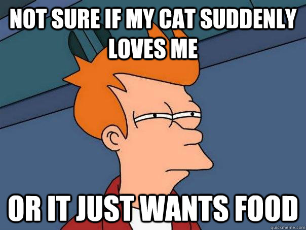 NOT SURE IF MY CAT SUDDENLY LOVES ME  Or IT JUST WANTS FOOD  Futurama Fry