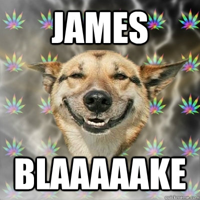 JAMES BLAAAAAKE  Stoner Dog
