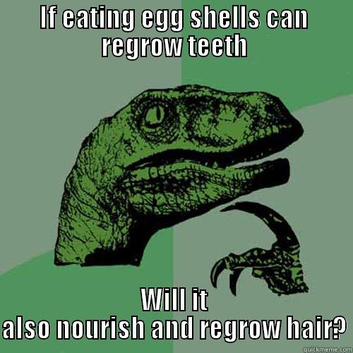 IF EATING EGG SHELLS CAN REGROW TEETH WILL IT ALSO NOURISH AND REGROW HAIR? Philosoraptor
