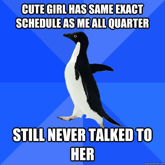cute girl has same exact schedule as me all quarter still never talked to her  Socially Awkward Penguin