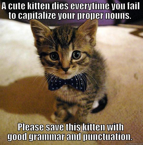 A CUTE KITTEN DIES EVERYTIME YOU FAIL TO CAPITALIZE YOUR PROPER NOUNS.  PLEASE SAVE THIS KITTEN WITH GOOD GRAMMAR AND PUNCTUATION.  Misc