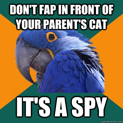 Don't fap in front of your parent's cat It's a spy  Paranoid Parrot