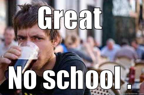 GREAT NO SCHOOL . Lazy College Senior