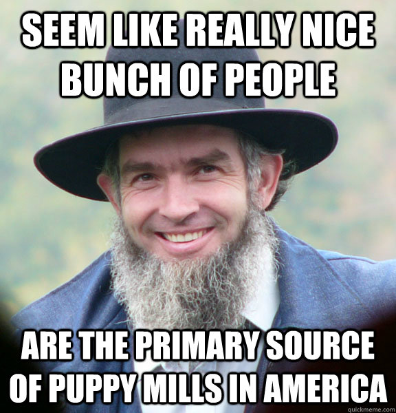 Seem like really nice bunch of people Are the primary source of puppy mills in america  Good Guy Amish