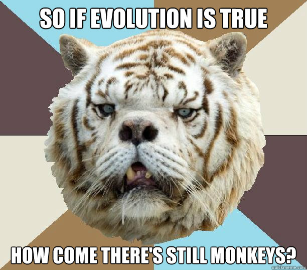 so if evolution is true how come there's still monkeys? - so if evolution is true how come there's still monkeys?  Kenny the Retarded Tiger