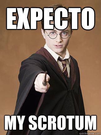 EXPECTO MY SCROTUM - EXPECTO MY SCROTUM  Dirty Harry Potter