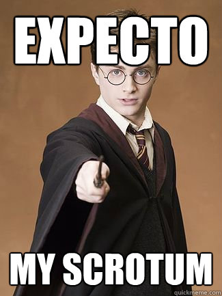 EXPECTO MY SCROTUM  Dirty Harry Potter