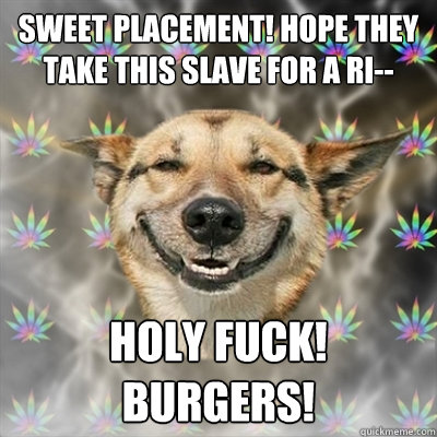 sweet placement! hope they take this slave for a ri-- holy fuck! burgers!  Stoner Dog