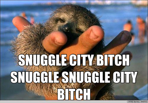  SNUGGLE CITY BITCH SNUGGLE SNUGGLE CITY BITCH  cute baby sloth