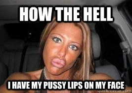 how the hell i have my pussy lips on my face - how the hell i have my pussy lips on my face  Misc