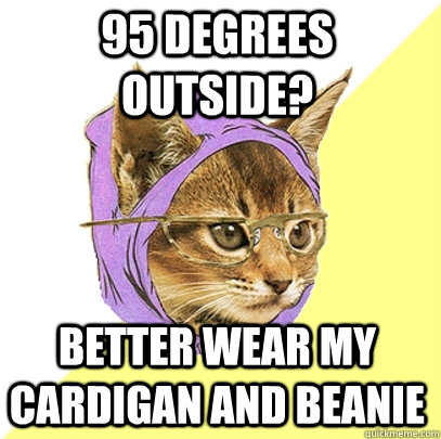 95 degrees outside? better wear my cardigan and beanie  Hipster Kitty