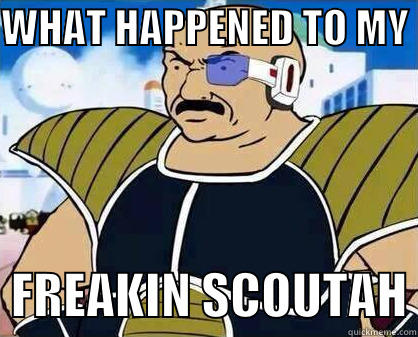 Carl meets DBZ - WHAT HAPPENED TO MY    FREAKIN SCOUTAH Misc