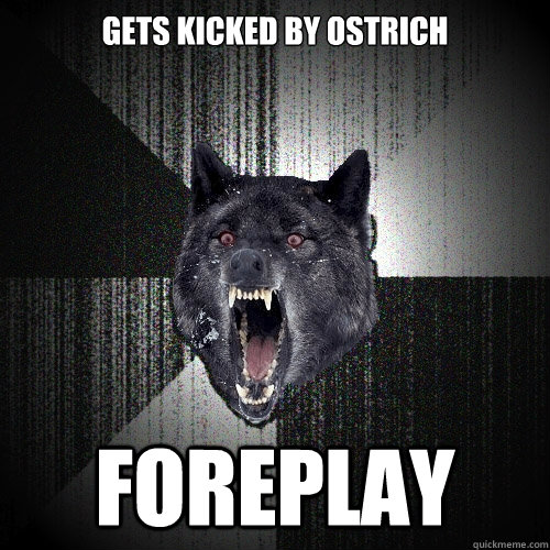 gets kicked by ostrich foreplay  Insanity Wolf