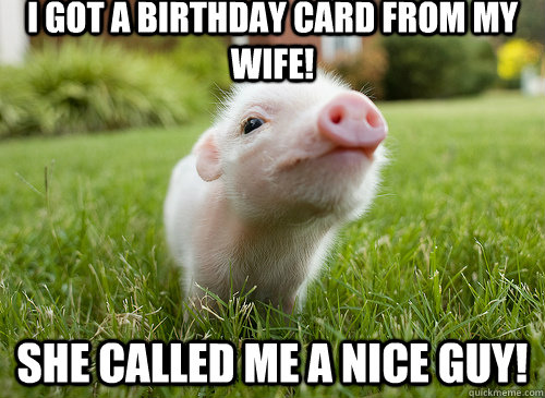 I got a Birthday Card from my wife! She called me a NICE GUY!  