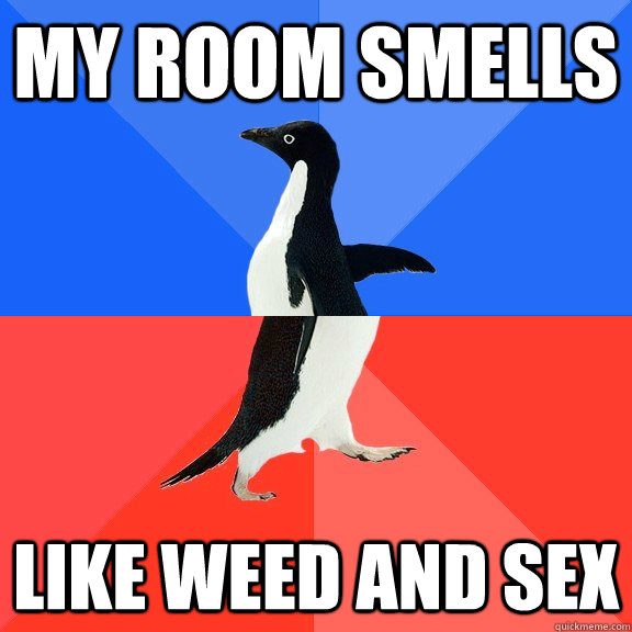 My room smells like weed and sex  Socially Awkward Awesome Penguin