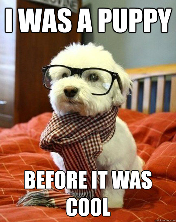 I was a puppy before it was cool  Hipster Puppy
