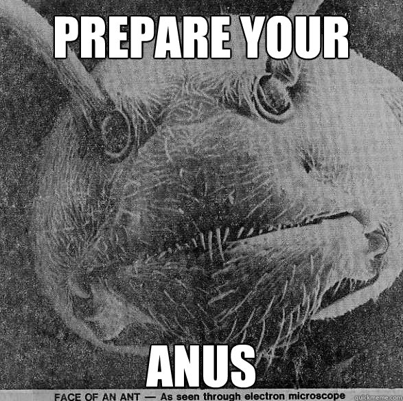 prepare your anus - prepare your anus  Misc