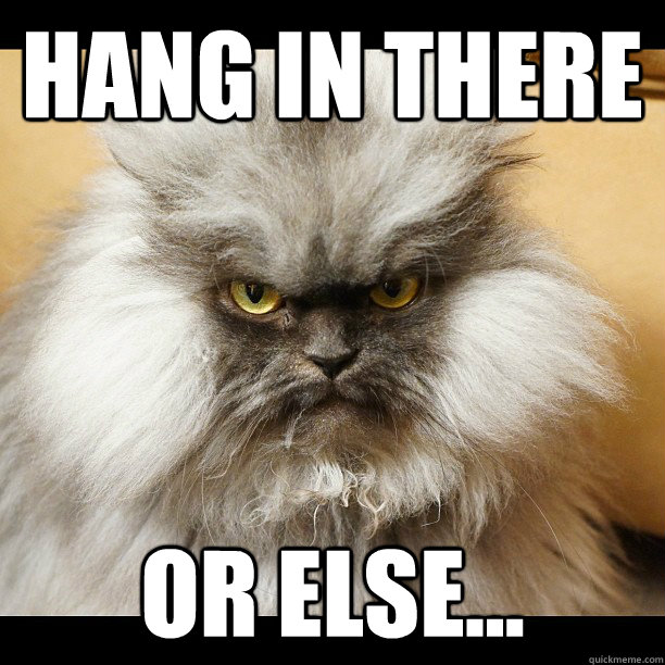 Hang in there or else...  Colonel Meow Tells It