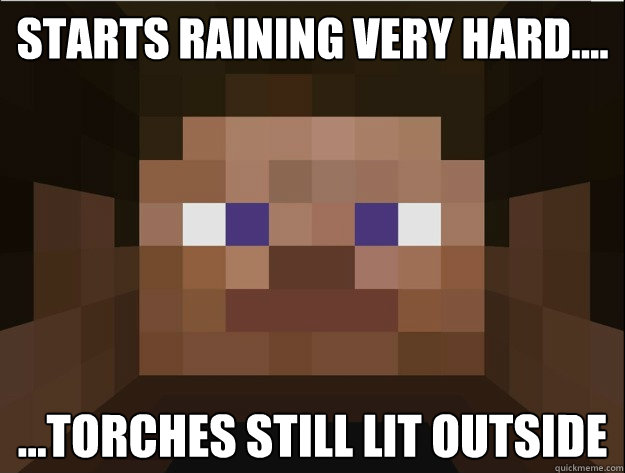 Starts raining very hard.... ...Torches still lit outside - Starts raining very hard.... ...Torches still lit outside  Minecraft Logic