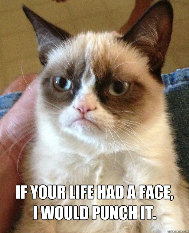  If your life had a face,
I would punch it. -  If your life had a face,
I would punch it.  Misc