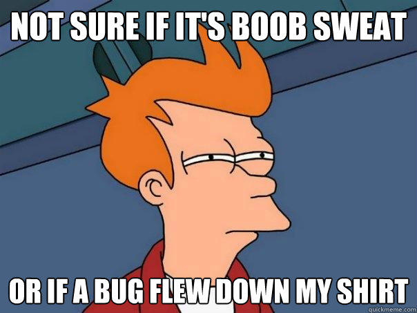 not sure if it's boob sweat or if a bug flew down my shirt  - not sure if it's boob sweat or if a bug flew down my shirt   Futurama Fry