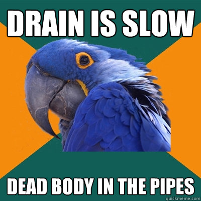 drain is slow dead body in the pipes  Paranoid Parrot