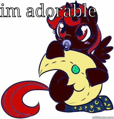 IM ADORABLE      Misc