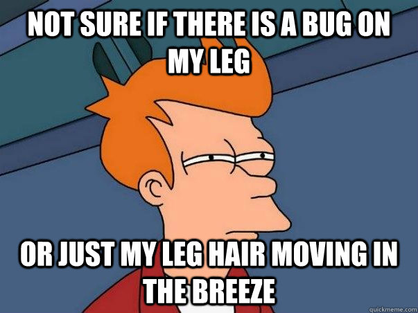 Not sure if there is a bug on my leg or just my leg hair moving in the breeze  Not sure Fry