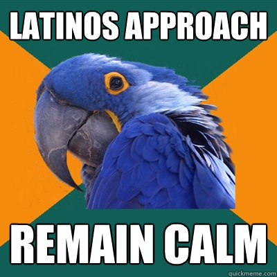 latinos approach remain calm  Paranoid Parrot