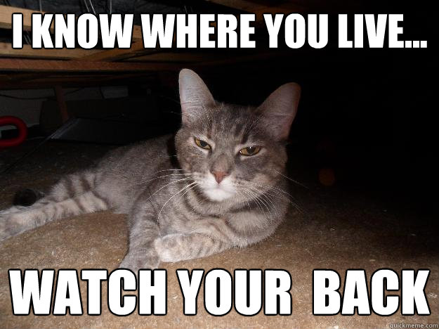 i know where you live... watch your  back - i know where you live... watch your  back  Appy cat
