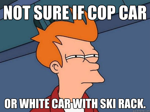 Not sure if cop car or white car with ski rack.  Futurama Fry