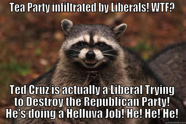 TEA PARTY INFILTRATED BY LIBERALS! WTF? TED CRUZ IS ACTUALLY A LIBERAL TRYING TO DESTROY THE REPUBLICAN PARTY! HE'S DOING A HELLUVA JOB! HE! HE! HE! Evil Plotting Raccoon