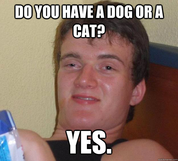 DO YOU HAVE A DOG OR A CAT? YES.  10 Guy