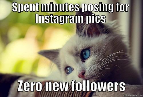 SPENT MINUTES POSING FOR INSTAGRAM PICS         ZERO NEW FOLLOWERS       First World Problems Cat