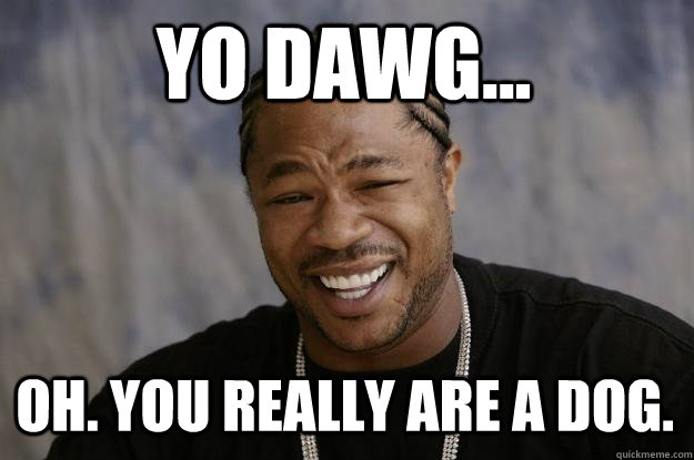 Yo dawg... oh. you really are a dog.  Xzibit meme