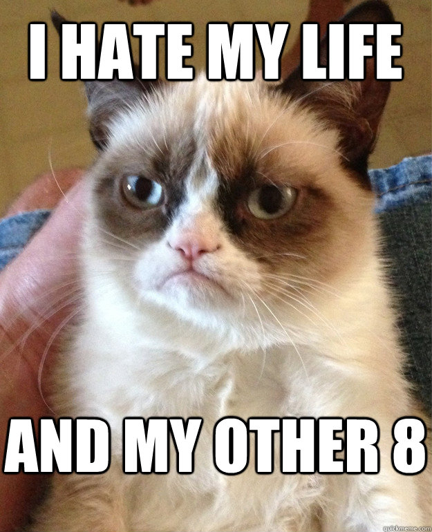 I hate my life and my other 8   Grumpy Cat