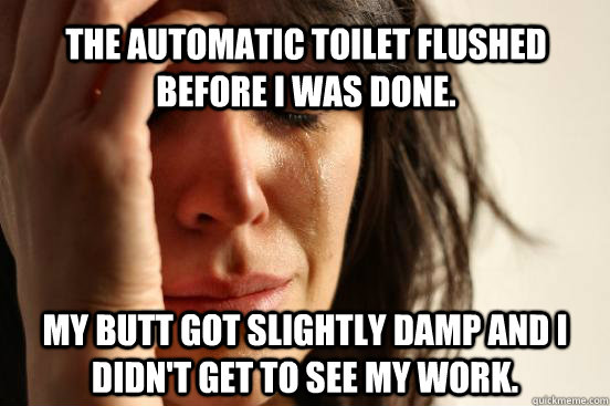 The Automatic toilet flushed before I was done. My butt got slightly damp and I didn't get to see my work.  First World Problems