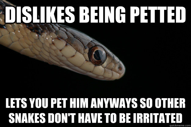 Dislikes being petted Lets you pet him anyways so other snakes don't have to be irritated - Dislikes being petted Lets you pet him anyways so other snakes don't have to be irritated  Misc