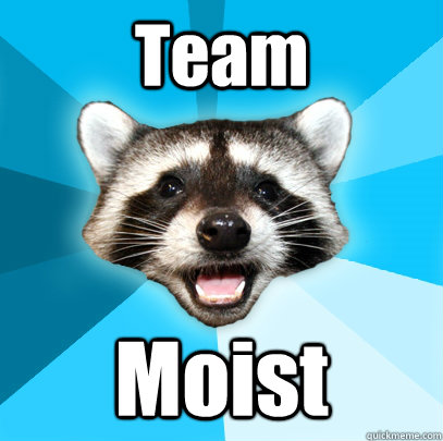 Team Moist  Lame Pun Coon