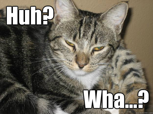 Huh? Wha...?  