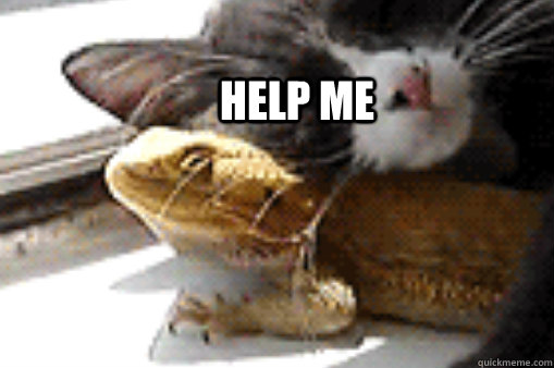 HELP ME - HELP ME  Misc