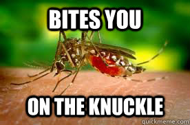 Bites You on the knuckle  Scumbag Mosquito