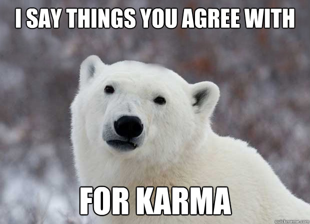 I say things you agree with For karma  Popular Opinion Polar Bear