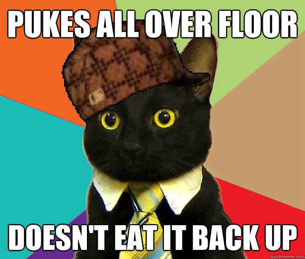 Pukes all over floor doesn't eat it back up  Scumbag Cat