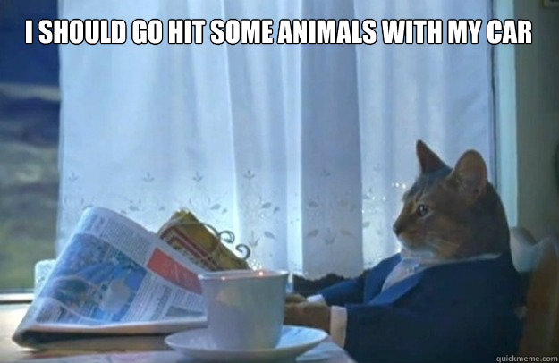 I should go hit some animals with my car  Sophisticated Cat