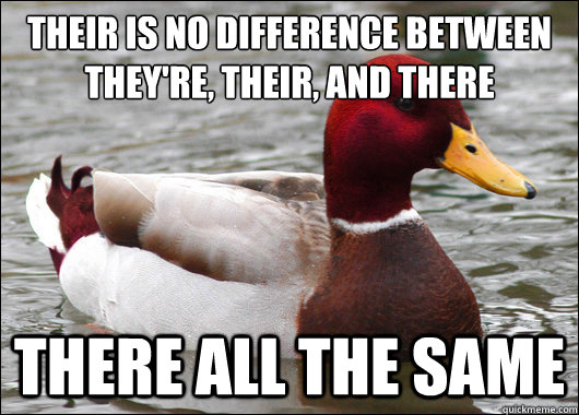Their is no difference between
They're, their, and there there all the same  Malicious Advice Mallard