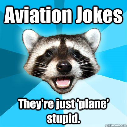 Aviation Jokes They're just 'plane' stupid.  Lame Pun Coon